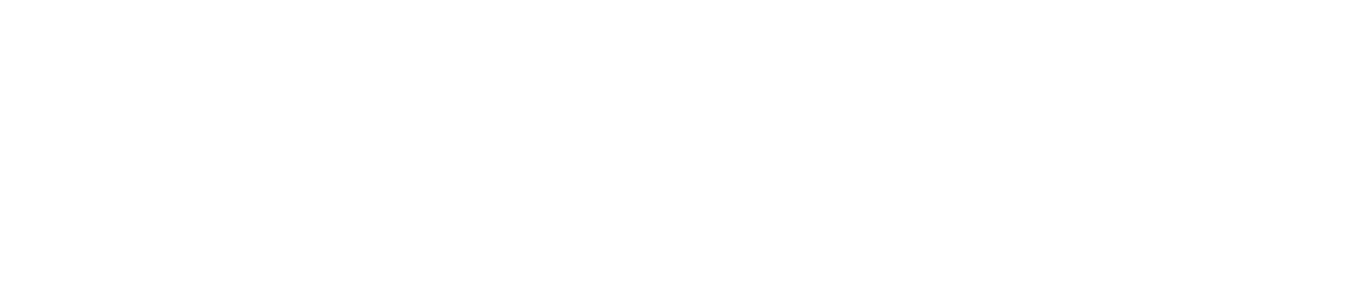 MDG Experience
